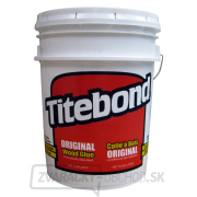 Titebond Original Lepidlo na drevo D2 - 18,92 l gallery main image